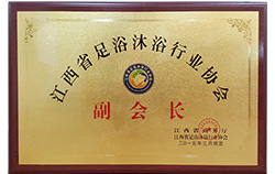 副会长2015