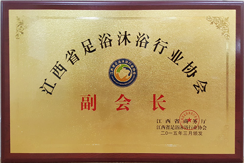 副会长2015