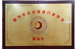 副会长